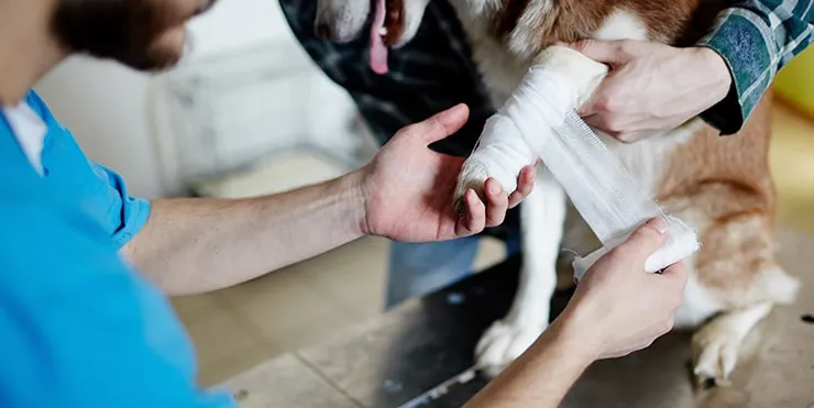 Imagen cabecera post