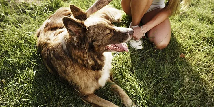 Imagen cabecera post