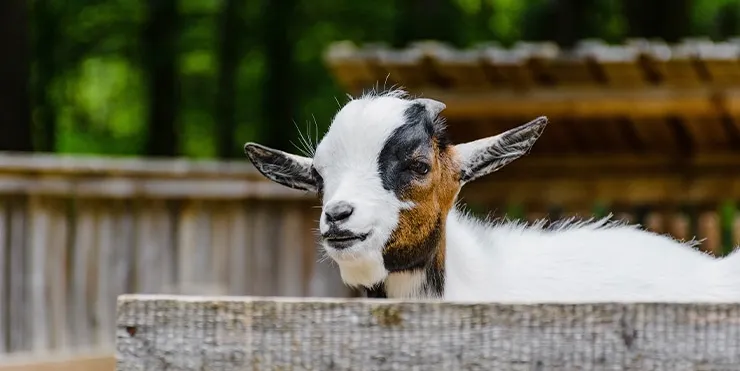 Imagen cabecera post