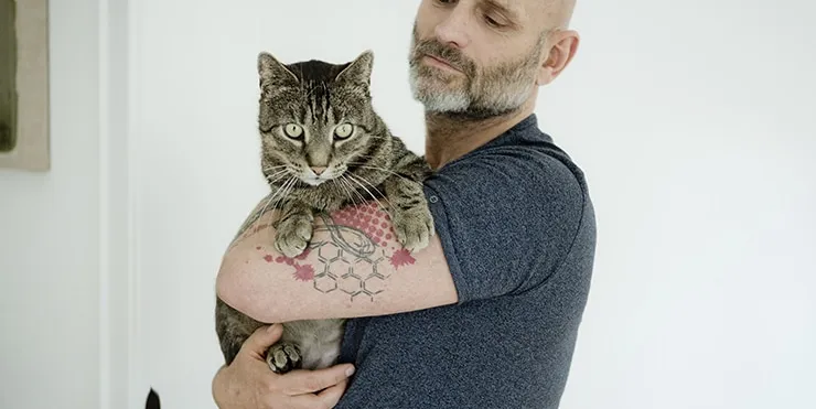 Imagen cabecera post