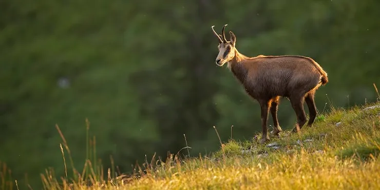 Imagen cabecera post