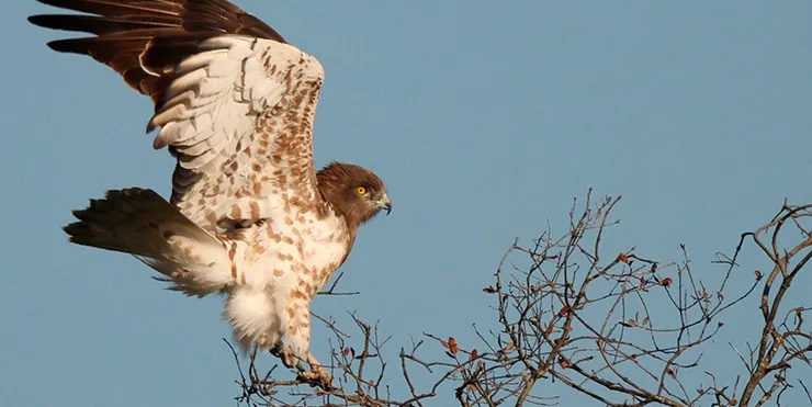 Imagen cabecera post