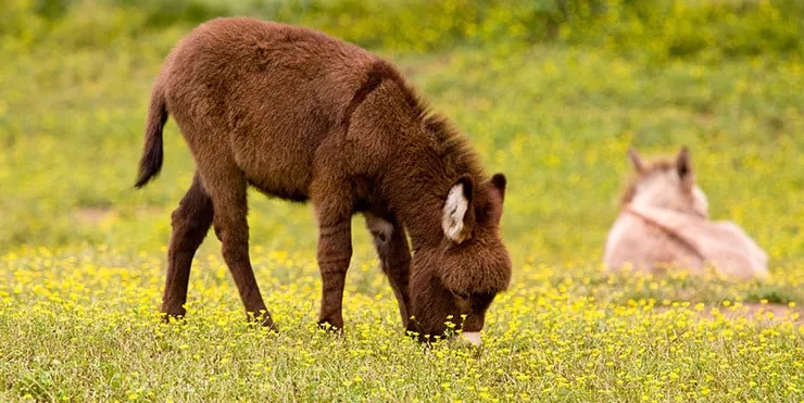 Imagen cabecera post