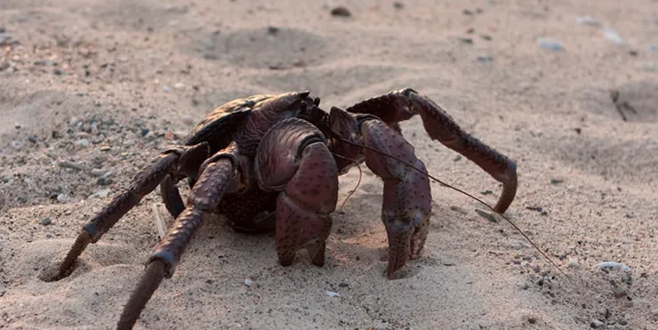 Imagen cabecera post