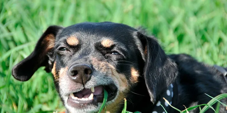 Imagen cabecera post