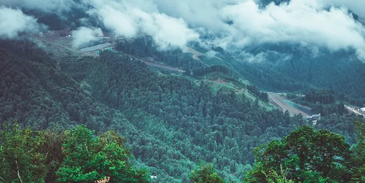 Imagen cabecera post