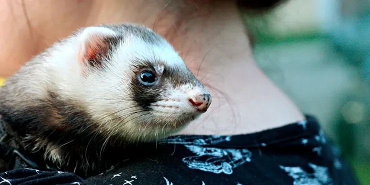 Imagen cabecera post