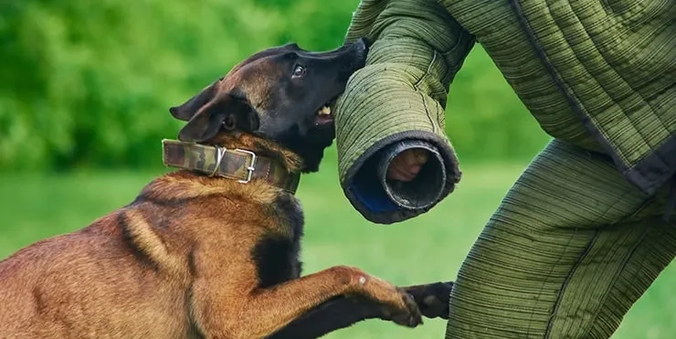 Imagen cabecera post