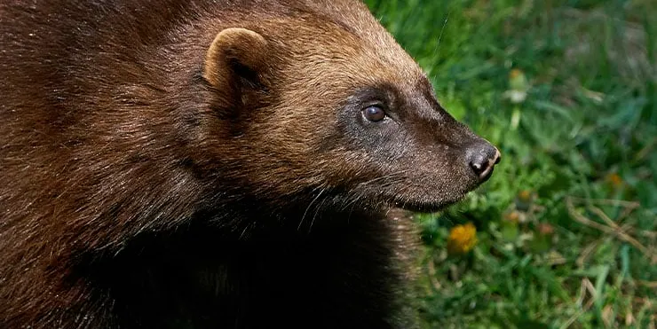 Imagen cabecera post