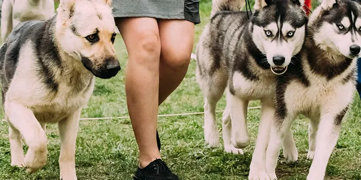 Imagen cabecera post