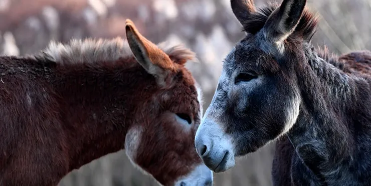 Imagen cabecera post