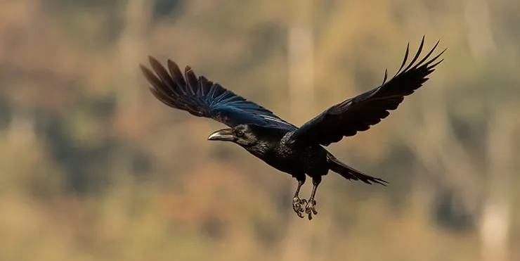 Imagen cabecera post