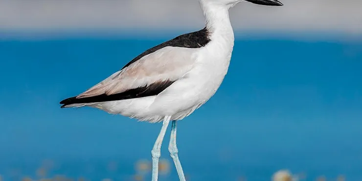 Imagen cabecera post