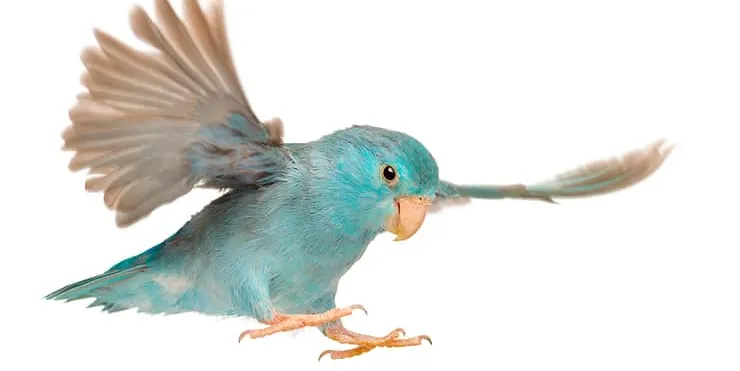 Imagen cabecera post