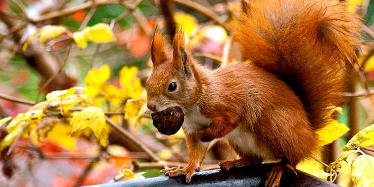 Imagen cabecera post