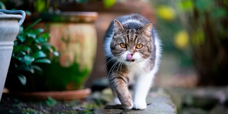 Imagen cabecera post