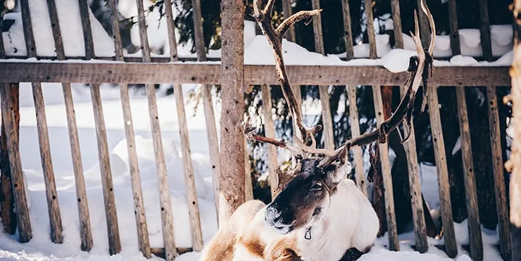 Imagen cabecera post