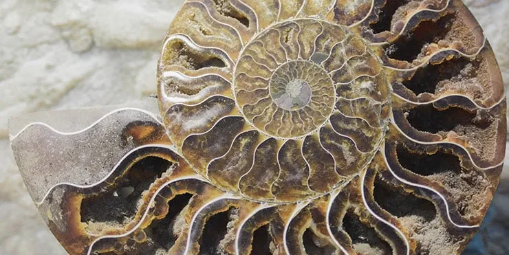 Imagen cabecera post