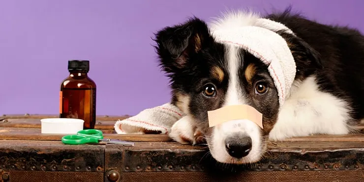 Imagen cabecera post