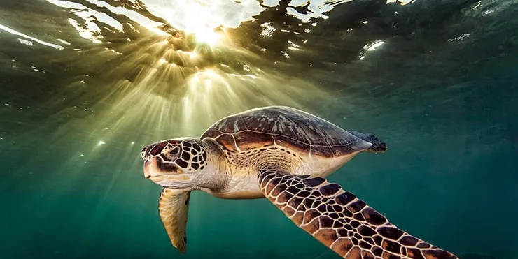 Imagen cabecera post