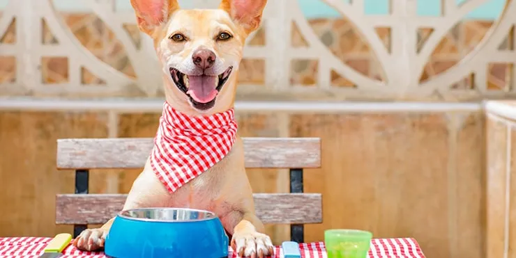 Imagen cabecera post