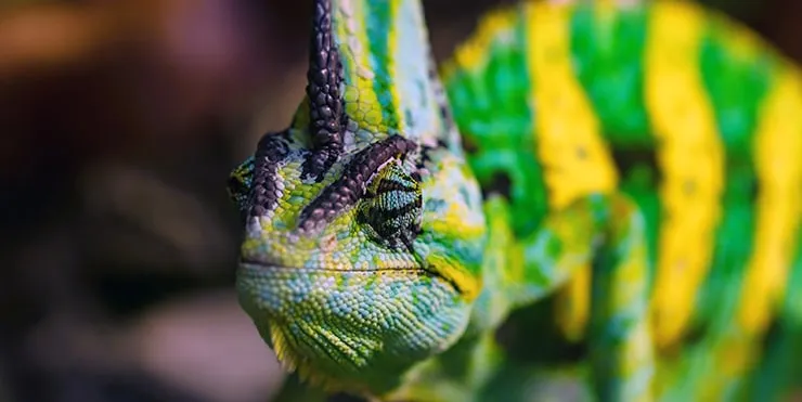 Imagen cabecera post