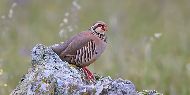 Imagen cabecera post