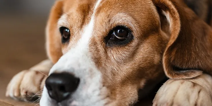 Imagen cabecera post