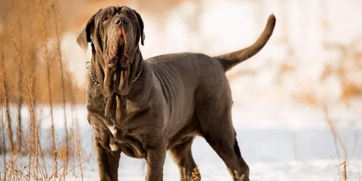 Imagen cabecera post