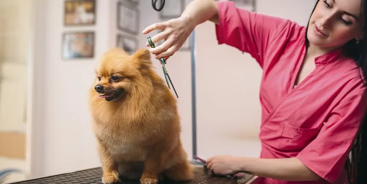 Imagen cabecera post