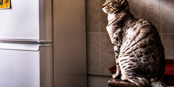 Imagen cabecera post