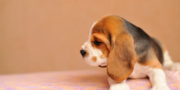 Imagen cabecera post