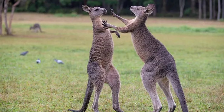 Imagen cabecera post