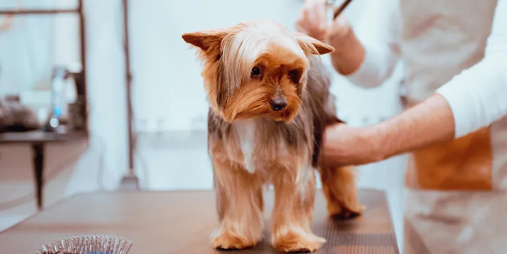 Imagen cabecera post