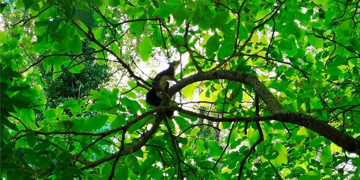 Imagen cabecera post