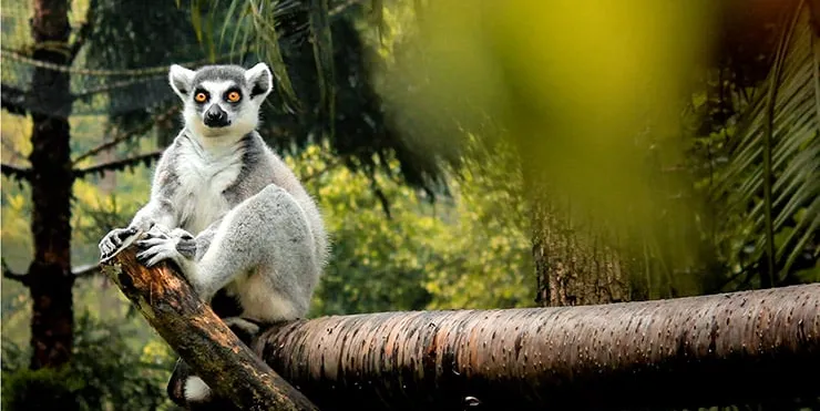 Imagen cabecera post