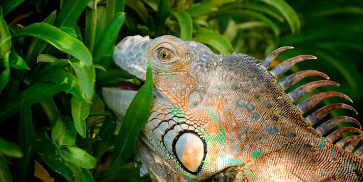 Imagen cabecera post