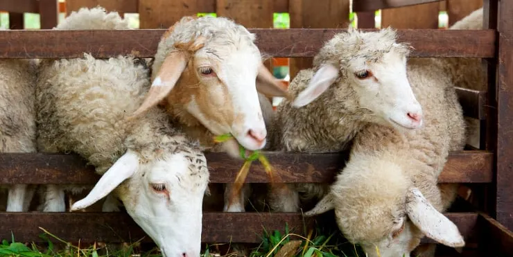 Imagen cabecera post