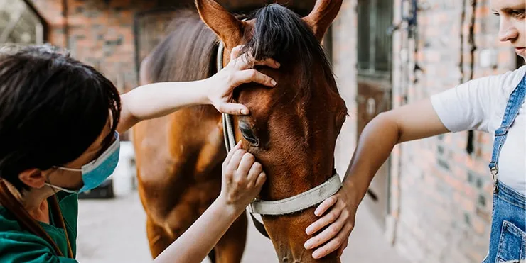 Imagen cabecera post