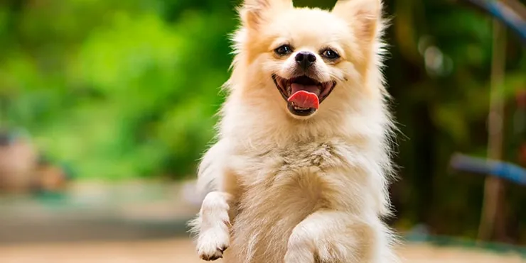 Imagen cabecera post