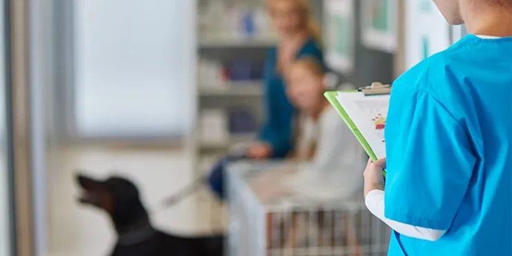 Imagen cabecera post