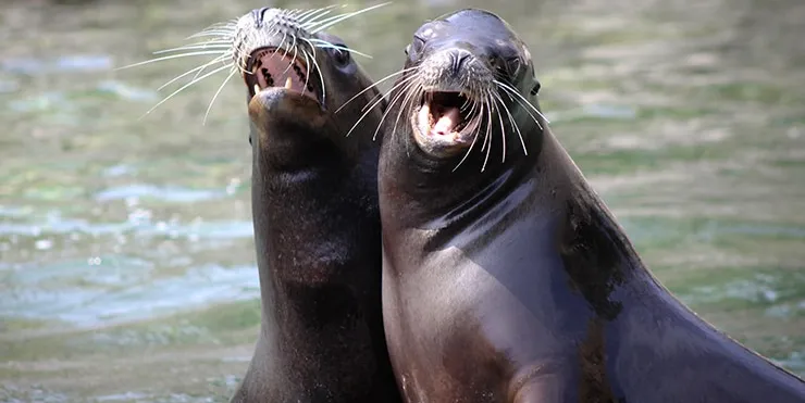 Imagen cabecera post