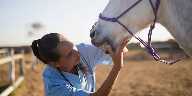 Imagen cabecera post