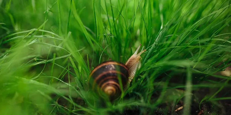 Imagen cabecera post