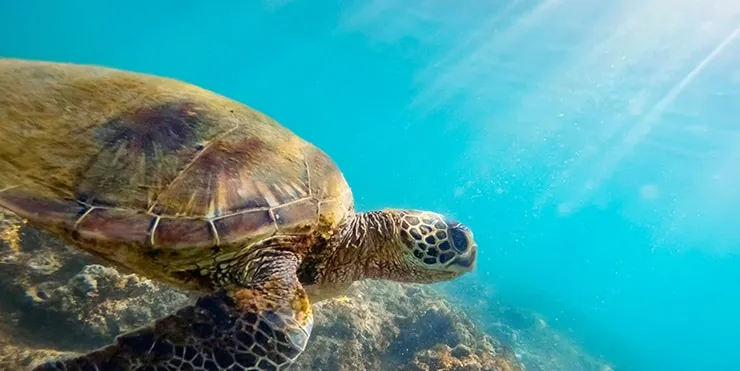 Imagen cabecera post