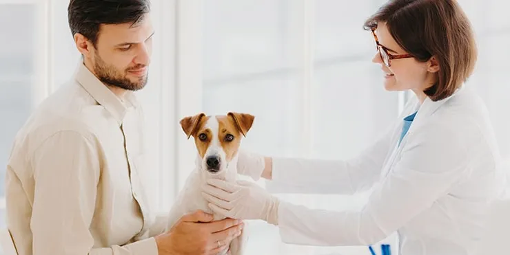 Imagen cabecera post