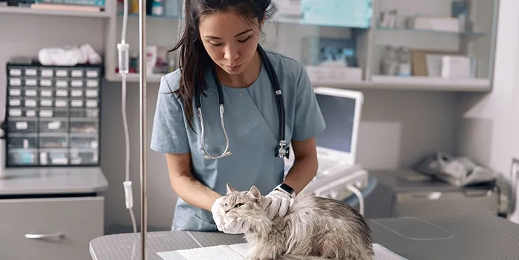 Imagen cabecera post