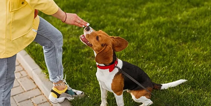 Imagen cabecera post