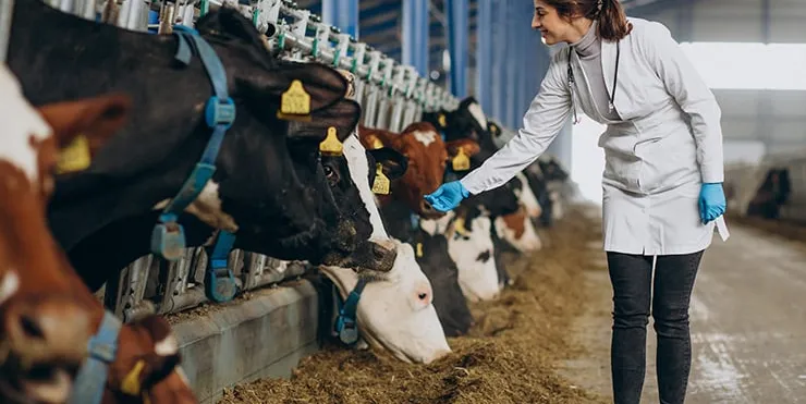 Imagen cabecera post