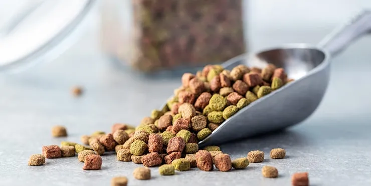 Imagen cabecera post